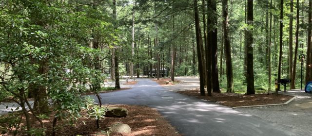 Vogel Campground